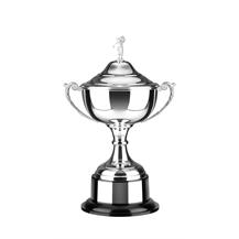 Silver Plated Trophy